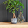 Burgon & Ball Aztec Stoneware Indoor Plant Pot 