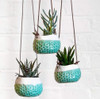 Burgon & Ball Baby Dotty Hanging Pot