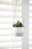 Burgon & Ball Glazed Hanging House Plant Pot in Ripple Design Grey & White