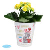 Personalised Me To You Hold You Forever Plant Pot