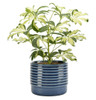 Burgon & Ball Oslo Blue Glazed Pot - Small