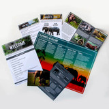 Full elephant adoption kit laid out, showing certificate, photo, and fact sheets