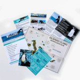 Contents of the Adopt a Penguin Gift Box, including a personalised adoption certificate, endangered Galapagos fact sheet, and other penguin-themed items.