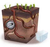 Wiggly Worm World - Worm Garden