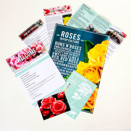 Name a Rose Gift Box Name a Rose Gift Box