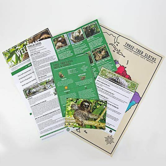735x735_fitbox-adopt_a_sloth_11.jpg 735x735_fitbox-adopt_a_sloth_11.jpg