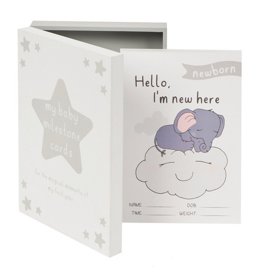 Baby Milestone Cards