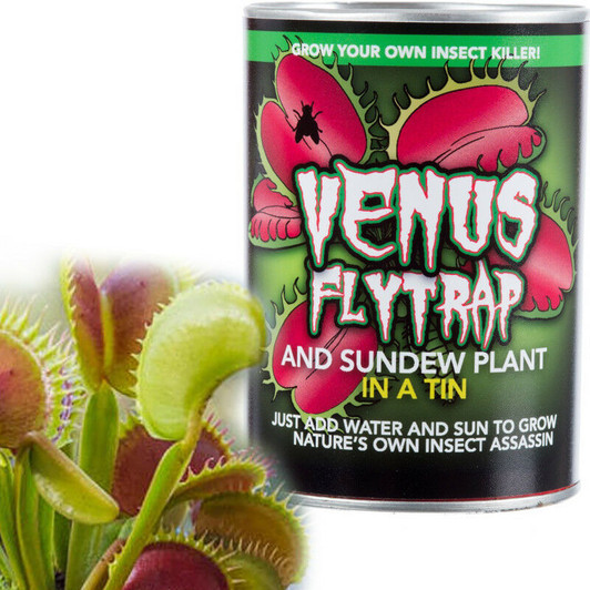 Grow Your Own Venus Fly Trap Overview