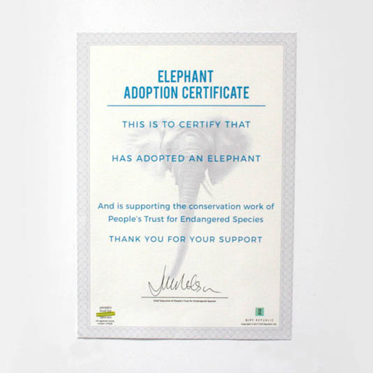 Personalized elephant adoption certificate