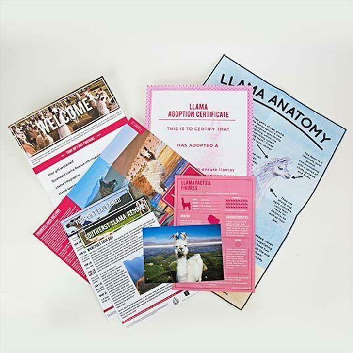 Adopt A Llama Gift Pack