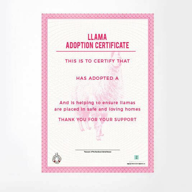 Adopt A Llama Gift Pack