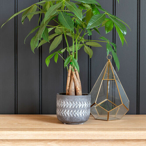 Burgon & Ball Aztec Stoneware Indoor Plant Pot 
