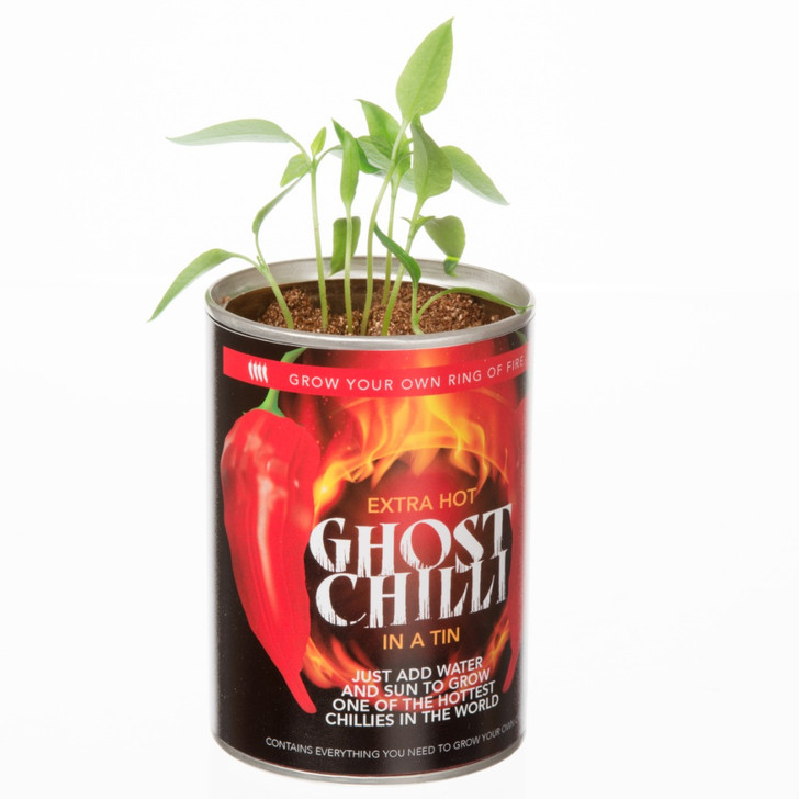 GYO Ghost Chilli