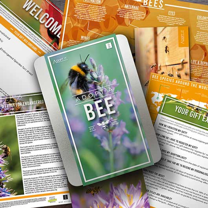 Adopt A Bee Gift Pack