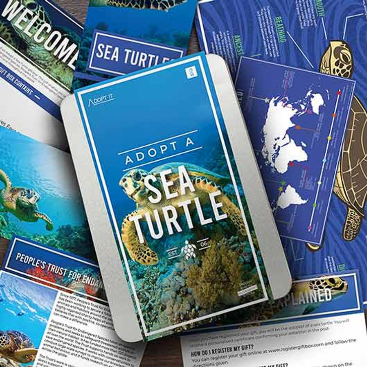 Adopt A Sea Turtle Gift Pack