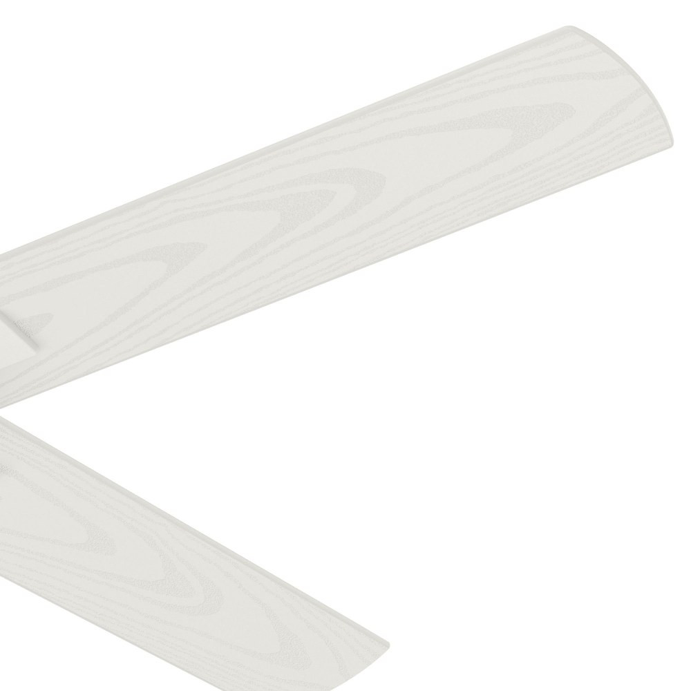 50472 | detail