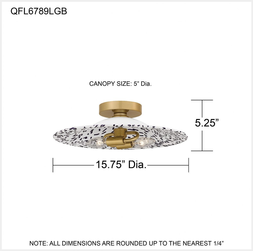 QFL6789LGB | dimension