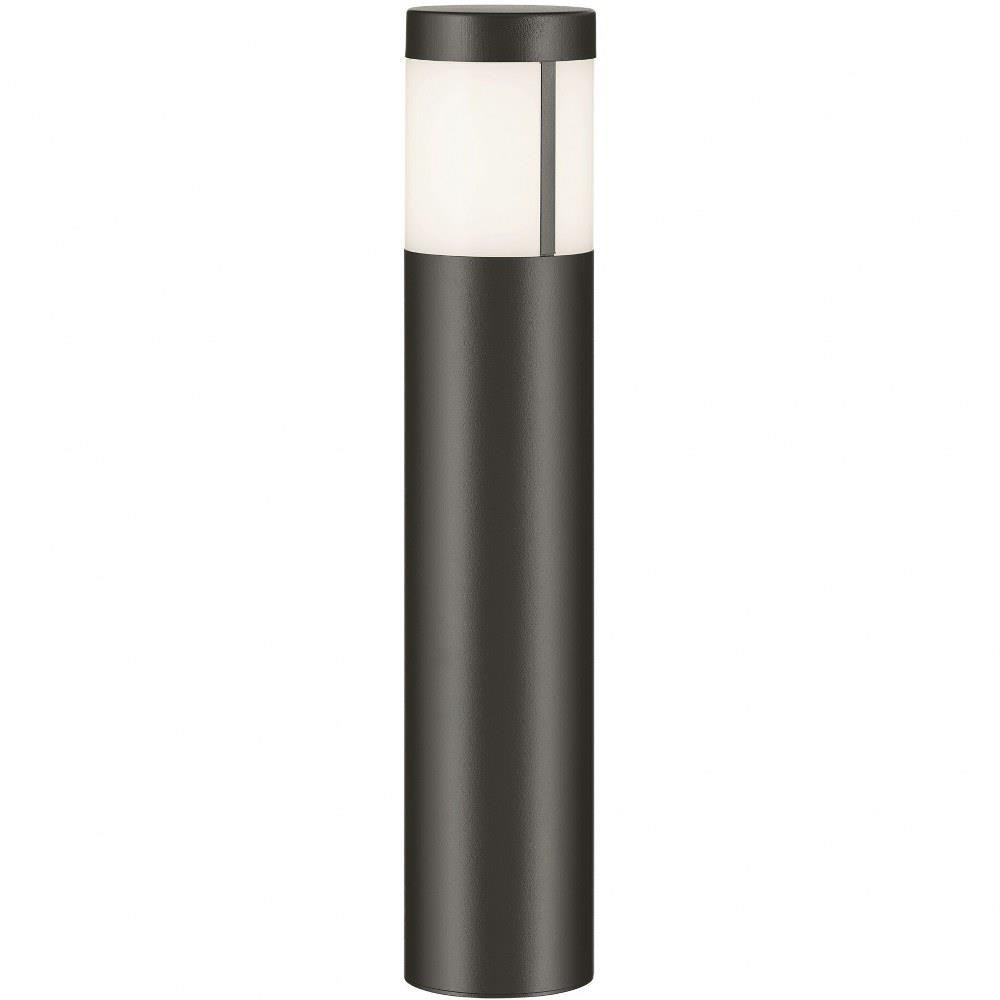 147_16264 | Main Product Image