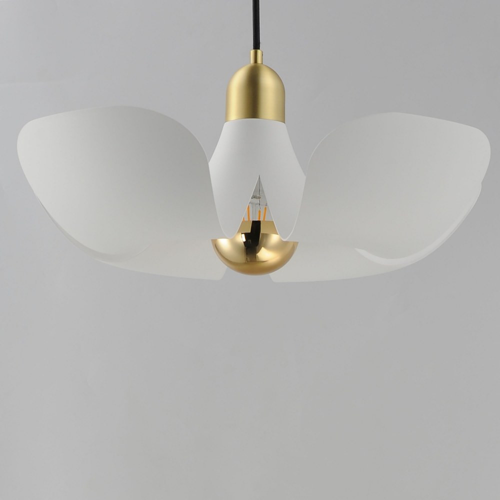 11394WTSBR | detail