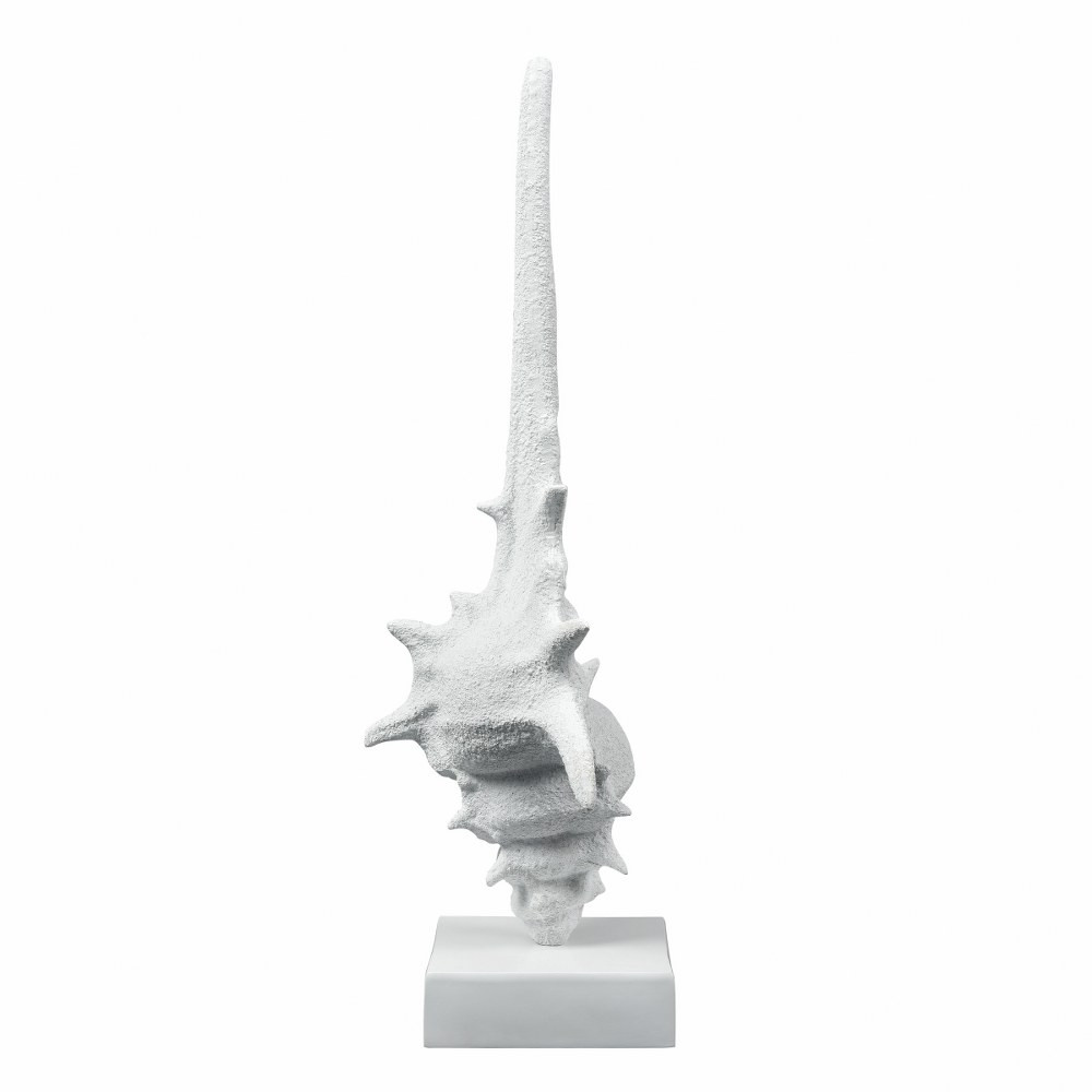 S0037-11316 | angle