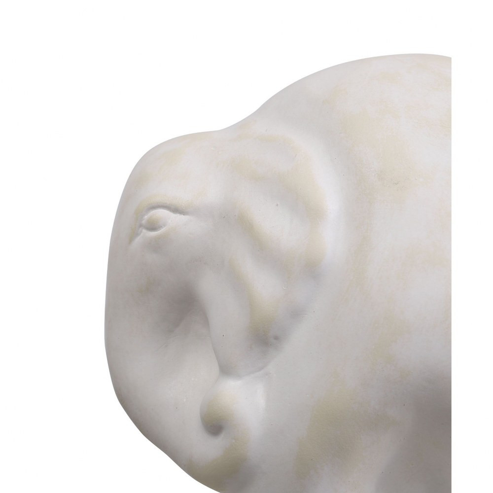 H0117-8239 | detail