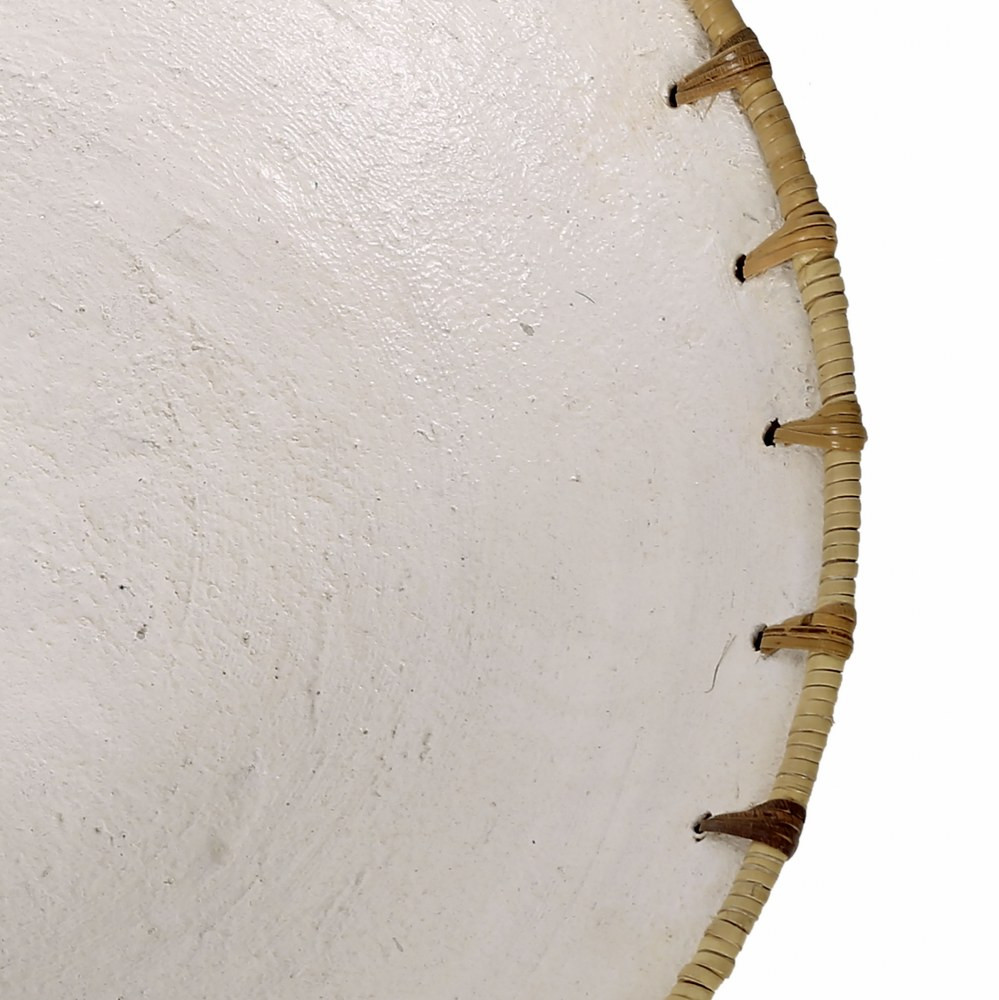 S0077-9125 | detail