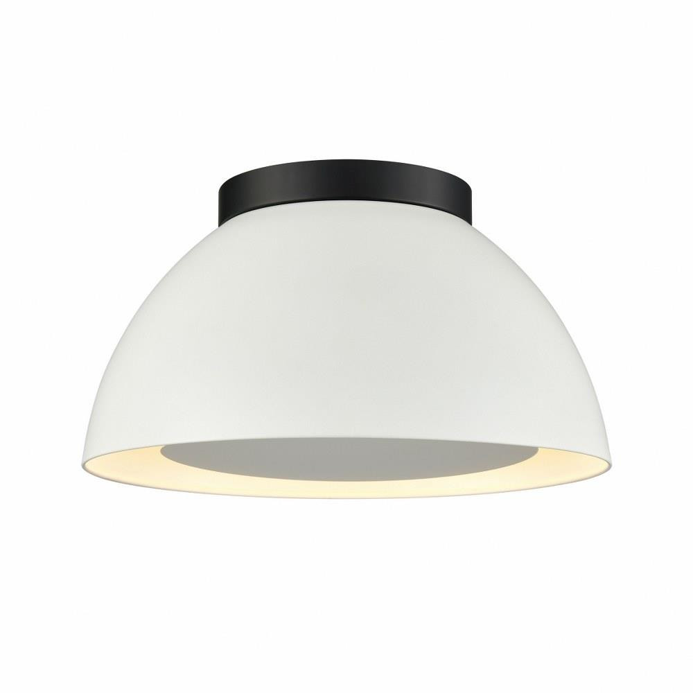 2499_52303 | Main Product Image