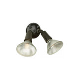 2 Light Double PAR Flood Light 4.38 x 4.38 Inches Wide by Craftmade - PH-2-438438