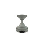 Spitfire 3 Blade Ceiling Fan with Handheld Control MOTOR ONLY by Fanimation - MA6721B