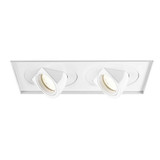 Tesla 2 LED Multiple Spots Trimless by WAC - MT-5LD225TL