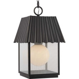 Point Dume Hook Pond 1 Light Pendant by Progress - P550117