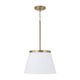 Drake 1 Light Pendant 9 Inch Tall and 13.25 Inch Wide by HomePlace - 361011