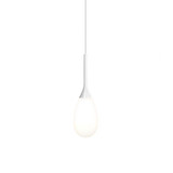 181_3081 | Main Product Image