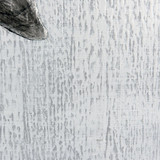 2475_WI34354DS | media