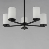 10286SWBK | detail