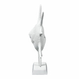 S0037-11315 | angle