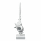 S0037-11316 | angle