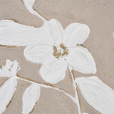 S0056-11346 | detail