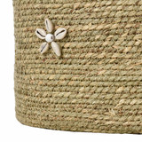 S0067-11267/S3 | detail
