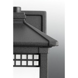 70_P6000-31 | media