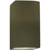 CER-5950-MGRN-LED1-1000 | 