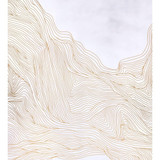 456_A12268 | media