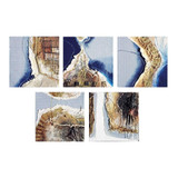 2499_146-020/S5 | media