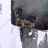 2475_WI33979DS | media