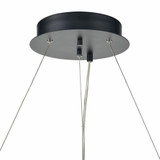 2499_81725/LED | media