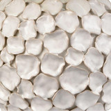 2499_H0019-11083 | media