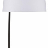 2499_H0019-9581 | media