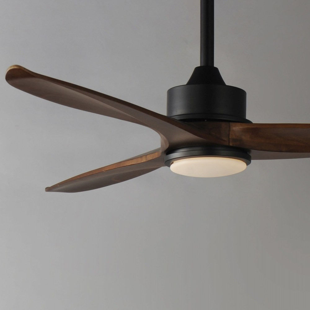 88831BK | detail