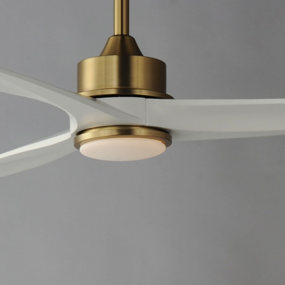 88831NAB | detail