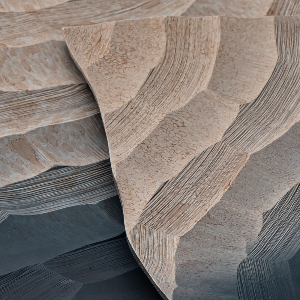 S0807-11361/S2 | detail